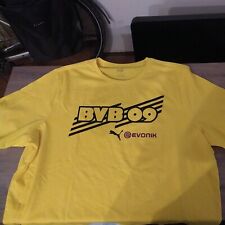 Bvb shirt gebraucht kaufen  Dortmund