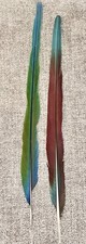 Long naturally molted for sale  Houston