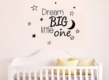 Dream big little for sale  FAREHAM