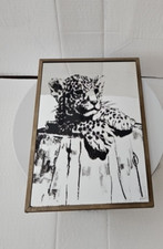 Vintage leopard cub for sale  Three Bridges