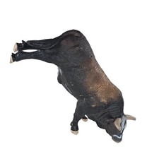 Big country farm for sale  Broken Arrow