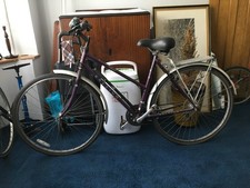 Raleigh pioneer ladies for sale  BIRMINGHAM