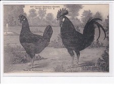 Barbezieux giet fernand d'occasion  France