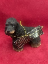 Black brown cocker for sale  San Jose