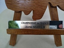 Trophée pétanque 1958 d'occasion  Les Sorinières