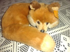 Steiff xorry curled for sale  Akron