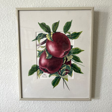 Framed art apple for sale  Brandon