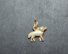 Sternzeichen steinbock anhäng gebraucht kaufen  Bonn