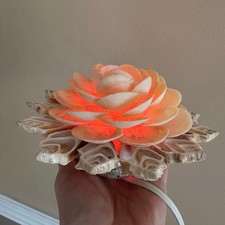 flower night light for sale flower night light for sale Warren