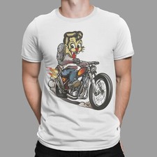 stray cats for sale stray cats for sale BOOTLE