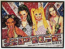 Poster concerto spice usato  Spedire a Italy