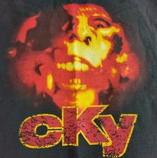 Cky 2002 infiltrate for sale  NORWICH
