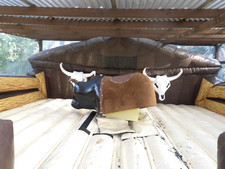 Bullriding anlage 6x6m gebraucht kaufen  Liebenwalde