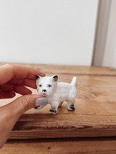 Vintage miniature westie for sale Vintage miniature westie for sale  HEMEL HEMPSTEAD
