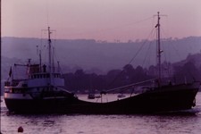 1979 sternsklint teignmouth for sale  WATFORD