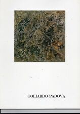Goliardo padova pittura usato  Montecchio Emilia