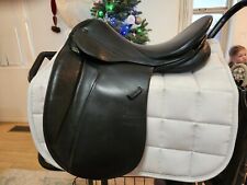 Stubben maestoso dressage for sale  Mc Neal