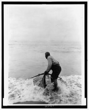 Photo smelter fish for sale  USA