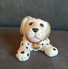 Dalmata thun con usato  Santa Croce sull'Arno