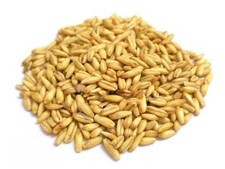 avena usato avena usato San Tammaro