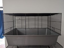 Rodent rat hamster for sale  MILTON KEYNES