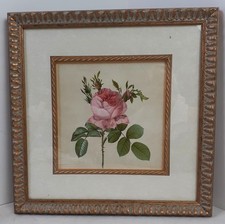 Vintage pink rose for sale  Seekonk