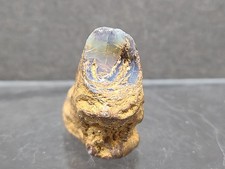 petrified wood opal for sale petrified wood opal for sale Milwaukee