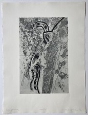 Michael morgner daphne gebraucht kaufen  Hamburg