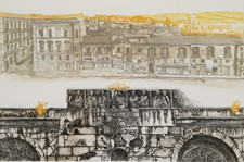 Robert carroll rara usato  Palagiano