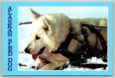 Postcard white husky for sale  Newtown