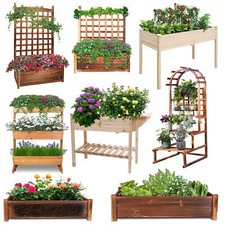 Extra large raised for sale  USA