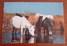 Chevaux camargue edité d'occasion  Dombasle-sur-Meurthe
