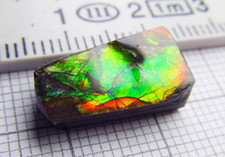 Ammolith ammolite kanada gebraucht kaufen  Immenhausen
