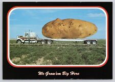 Huge potato semi for sale  Fort Wayne