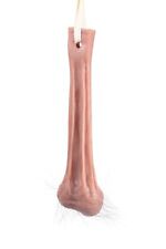 Fake silicone hanging for sale  Land O Lakes