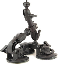 Delkin fat gecko usato  Roma