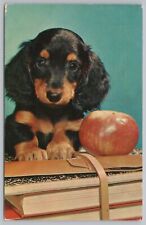 Gordon setter puppy for sale  Newton