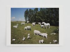 Perrotin X Paola Pivi - One Love na sprzedaż Perrotin X Paola Pivi - One Love na sprzedaż  Wysyłka do Poland