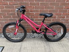Ridgeback harmony girls for sale  PRESTON