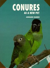 Conures new pet for sale Conures new pet for sale  UK