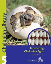 Incubating chelonian eggs for sale  Russellville