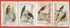 Chromos oiseaux chocolaterie d'occasion  Villeurbanne
