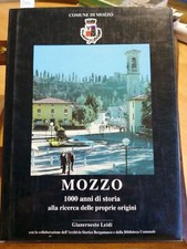 Leidi mozzo 1000 usato  Italia