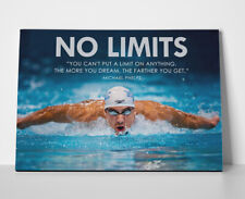 Michael phelps swimming for sale  Chesapeake