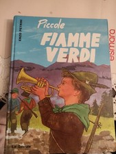Piccole fiamme verdi usato  Tricesimo