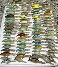 shad bait for sale shad bait for sale Georgetown