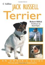 Jack russell terrier for sale  UK