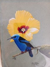 Beautiful watercolour gouache for sale  MANCHESTER