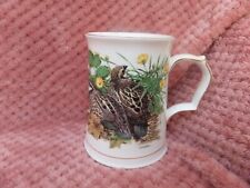 bobwhite quail for sale bobwhite quail for sale BURNLEY