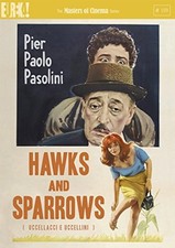 Hawks sparrows masters for sale  UK